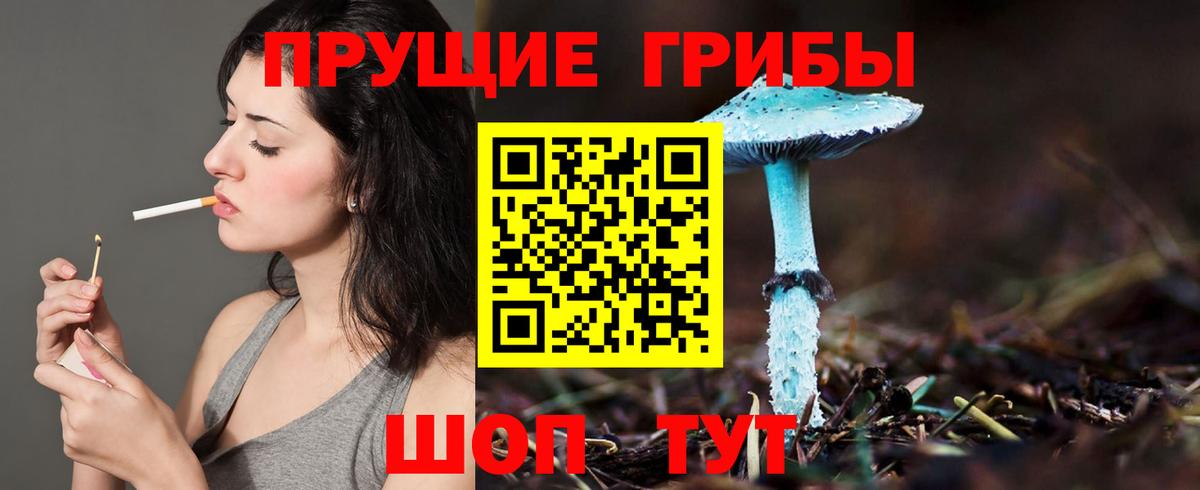 Псилоцибиновые грибы Cubensis  Вход с VPN  наркота  Лангепас  Псилоцибиновые грибы MAGIC MUSHROOMS 